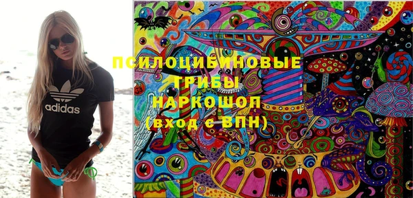 a pvp Богородицк