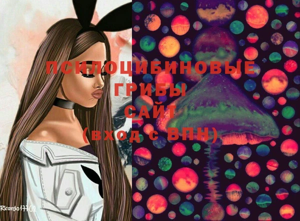 герыч Бронницы