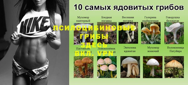 эйфоретик Бугульма