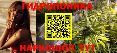мдма Сланцы