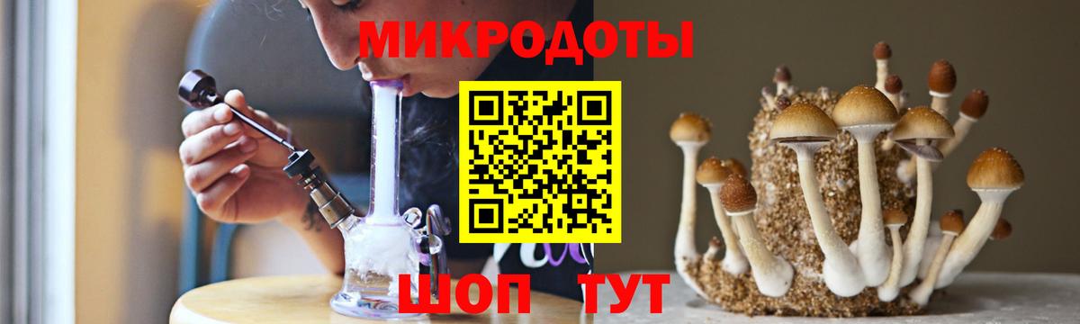 Галлюциногенные грибы Psilocybe Бутурлиновка